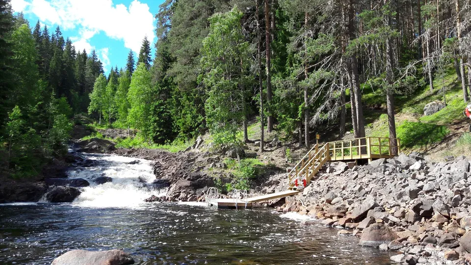 fämtfallet